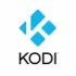 kodi-player-iptv-qlsdma5kkcsztva5wg9igioju4k7t2p5u0lz1q8938